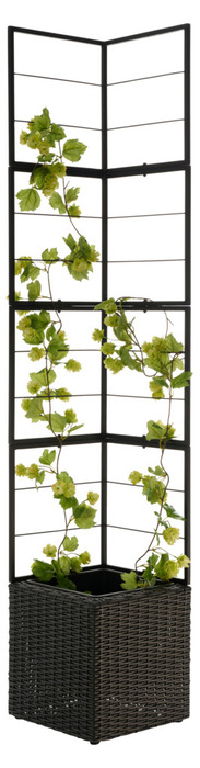 Blomsterkrukke med espalier 31 x 31 x 165 cm rotting